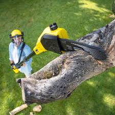 Best Artificial Turf Installation  in Greenwood Lake, NY